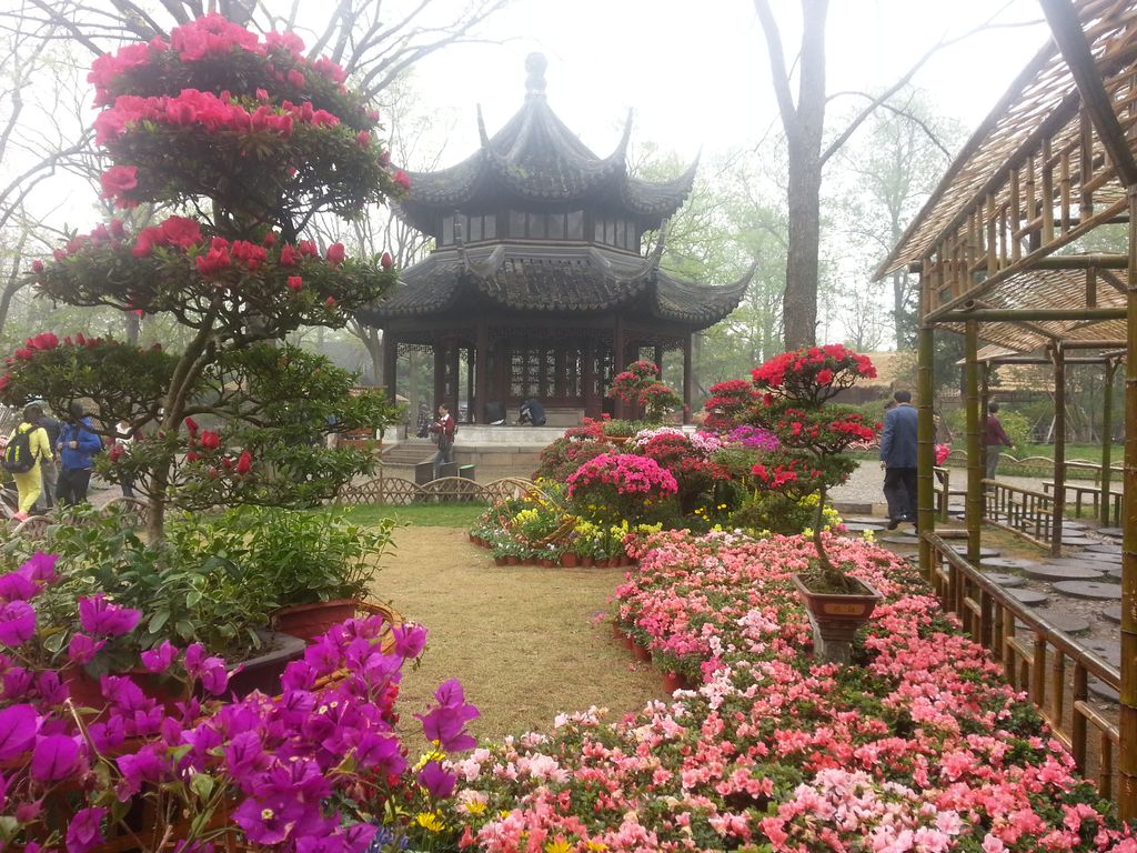 01_20170406_130542.jpg, avr. 2017 01_20170406_130542.jpg